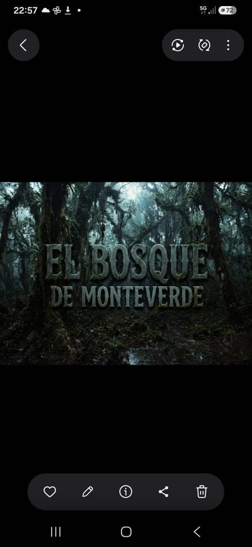 Portada de EL BOSQUE DE MONTEVERDE